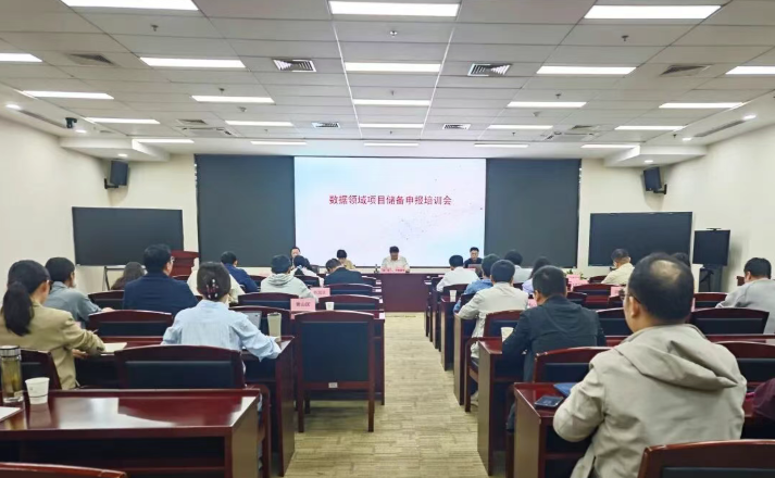 武汉市数据局开展中央政策性资金项目储备申报专题培训