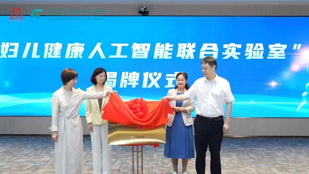 国内首个 武汉城市大模型公共服务平台上线“智动”大模型应用