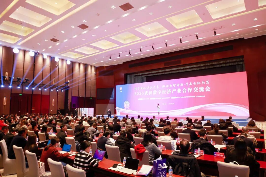 2025武汉数字经济产业合作交流会举行 多项数据工作成果落地！